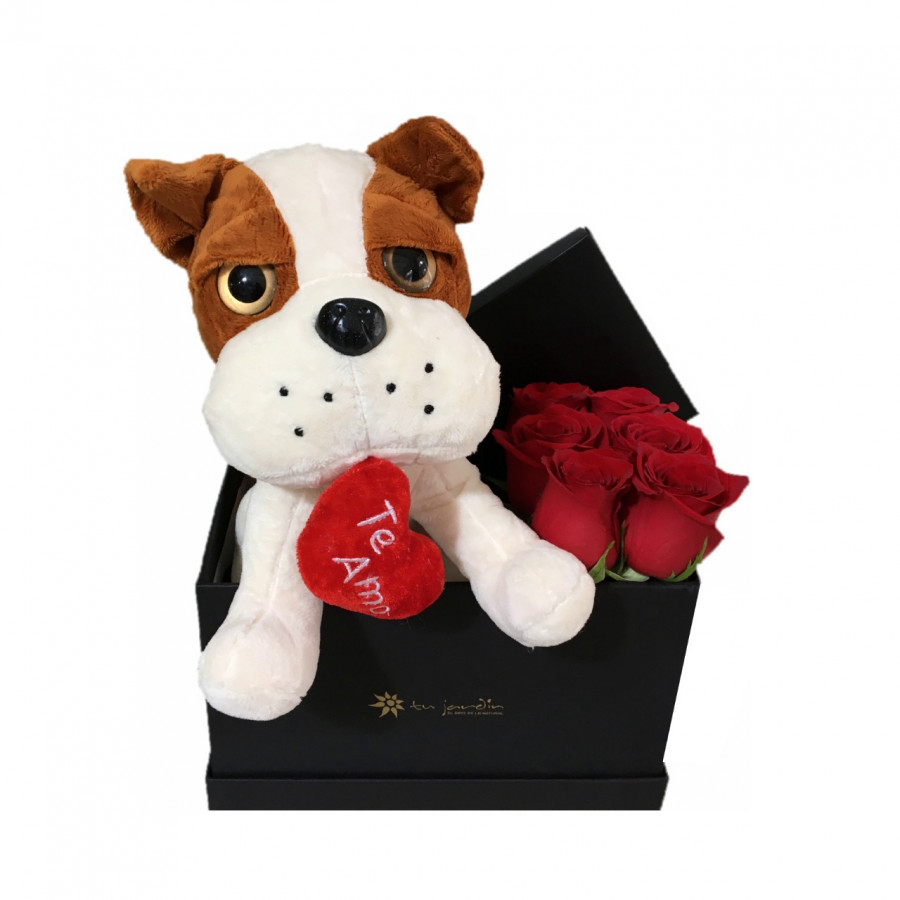 Box San Valentin 6 Rosas, Bombones y Peluche Perro Corazón
