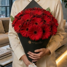 Ramo en Cono de Gerberas por 12