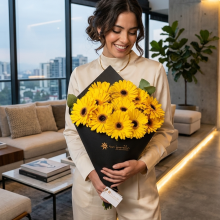 Ramo en Cono de Gerberas por 12