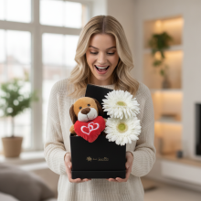 Box de Conquista, 2 Gerberas Bombones Mas Peluche