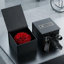 Box Premium 1 Rosa Eterna Roja Importada
