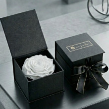 Box Premium 1 Rosa Blanca Eterna Importada