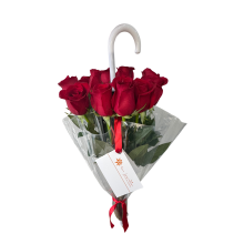 Paraguas con 12 Rosas